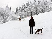 ID: 209: Rundgang / Mitterfirmiansreut / 03.12.2017