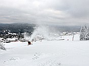 ID: 209: Rundgang / Mitterfirmiansreut / 03.12.2017
