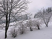 ID: 209: Rundgang / Mitterfirmiansreut / 03.12.2017