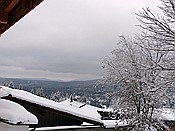 ID: 209: Rundgang / Mitterfirmiansreut / 03.12.2017