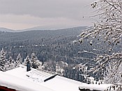 ID: 209: Rundgang / Mitterfirmiansreut / 03.12.2017
