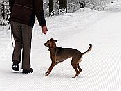 ID: 209: Rundgang / Mitterfirmiansreut / 03.12.2017