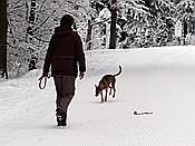 ID: 209: Rundgang / Mitterfirmiansreut / 03.12.2017