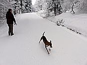 ID: 209: Rundgang / Mitterfirmiansreut / 03.12.2017