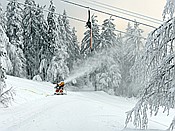 ID: 209: Rundgang / Mitterfirmiansreut / 03.12.2017
