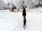 ID: 209: Rundgang / Mitterfirmiansreut / 03.12.2017