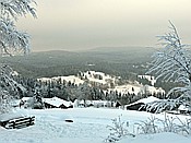 ID: 209: Rundgang / Mitterfirmiansreut / 03.12.2017