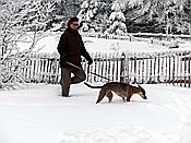 ID: 209: Rundgang / Mitterfirmiansreut / 03.12.2017