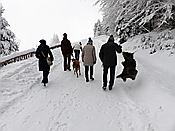ID: 209: Rundgang / Mitterfirmiansreut / 04.12.2017