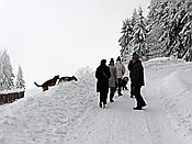 ID: 209: Rundgang / Mitterfirmiansreut / 04.12.2017