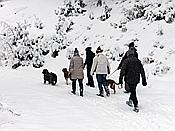 ID: 209: Rundgang / Mitterfirmiansreut / 04.12.2017