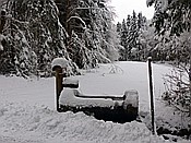 ID: 209: Tierfreigehege Lusen / Neuschoenau / 06.12.2017