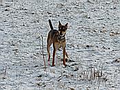 Foto SP_2018_02231: Wanderung / Stolberg - Strassberg / 05.02.2018