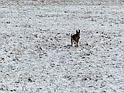 Foto SP_2018_02232: Wanderung / Stolberg - Strassberg / 05.02.2018