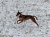 Foto SP_2018_02233: Wanderung / Stolberg - Strassberg / 05.02.2018