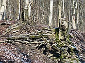 Foto SP_2018_02242: Wanderung / Stolberg / 06.02.2018