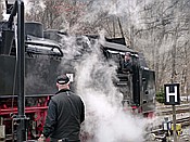 ID: 209: DR 99 7239-9 / Eisfelder Talmuehle / 07.02.2018