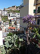 ID: 209: Rundgang / Riomaggiore / 14.04.2018