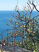 ID: 209: Rundgang / Riomaggiore / 14.04.2018