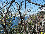 ID: 209: Rundgang / Riomaggiore / 14.04.2018