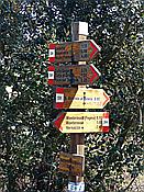 ID: 209: Wanderung / Menterosso - Levanto / 14.04.2018