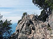 ID: 209: Wanderung / Menterosso - Levanto / 14.04.2018