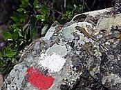 ID: 209: Wanderung / Menterosso - Levanto / 14.04.2018