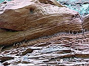 Foto SP_2018_05229: Altschlosspfad / Eppenbrunn / 03.05.2018