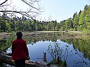 Foto SP_2018_05252: Rumberg Steig / Ludwigswinkel / 04.05.2018