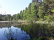 Foto SP_2018_05253: Rumberg Steig / Ludwigswinkel / 04.05.2018