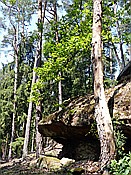 ID: 209: Rumberg Steig / Ludwigswinkel / 04.05.2018
