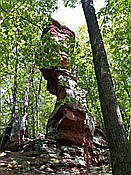ID: 209: Rumberg Steig / Ludwigswinkel / 04.05.2018