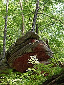 ID: 209: Rumberg Steig / Ludwigswinkel / 04.05.2018