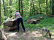 ID: 209: Rumberg Steig / Ludwigswinkel / 04.05.2018