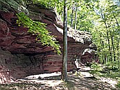 ID: 209: Rothenberg Weg / Lemberg / 08.05.2018