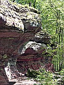 ID: 209: Rothenberg Weg / Lemberg / 08.05.2018