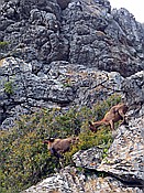 Foto SP_2018_05520: Wanderung / Port de Soller / 14.05.2018
