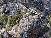 Foto SP_2018_05523: Wanderung / Port de Soller / 14.05.2018