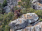 Foto SP_2018_05527: Wanderung / Port de Soller / 14.05.2018
