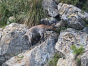 Foto SP_2018_05528: Wanderung / Port de Soller / 14.05.2018