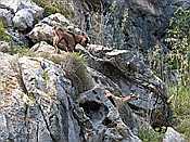 Foto SP_2018_05529: Wanderung / Port de Soller / 14.05.2018