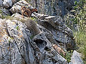 Foto SP_2018_05530: Wanderung / Port de Soller / 14.05.2018