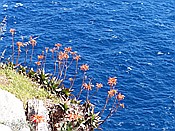 Foto SP_2018_05536: Wanderung / Port de Soller / 14.05.2018