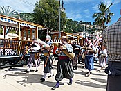 ID: 209: Es Firo / Port de Soller / 14.05.2018