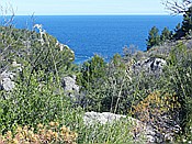 ID: 209: Wanderung / Deia - Port de Soller / 15.05.2018