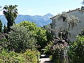 ID: 209: Wanderung / Deia - Port de Soller / 15.05.2018