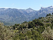 ID: 209: Wanderung / Deia - Port de Soller / 15.05.2018
