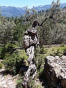 ID: 209: Wanderung / Deia - Port de Soller / 15.05.2018