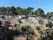 ID: 209: Wanderung / Port de Soller - Soller / 16.05.2018