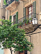 ID: 209: Rundgang / Palma / 18.05.2018